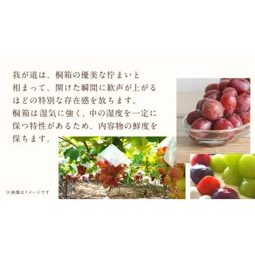 【桐箱入り】 我が道 １房【2026年9月上旬発送開始】(茨城県共通返礼品：大子町)