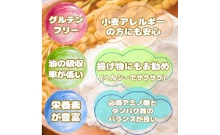 米粉 佐賀県産米粉 500g×2袋 1kg 粉 佐賀県産 五つ星お米マイスター厳選 グルテンフリー お米 コメ こめ 料理 揚げ物 お菓子 離乳食 ※配送不可:離島