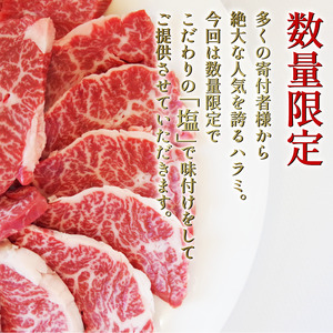 牛タン ハラミ セット 黒毛和牛 計500g 塩味 国産 ハラミ