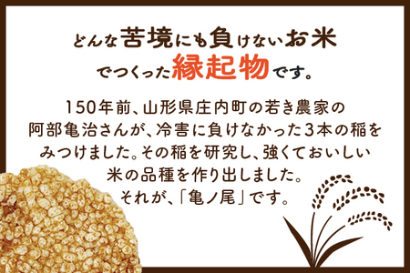 山形庄内かめこめプロジェクト 亀の尾せんべい 80g×1袋 つぶつぶ食感 煎餅 米菓 おやつ お菓子