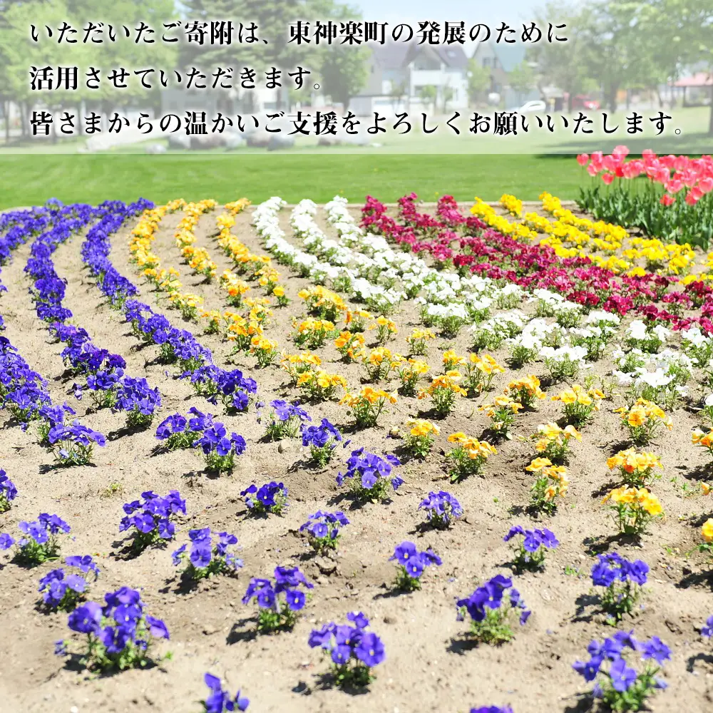 北海道 東神楽町 ☆応援寄附金【返礼品なし】50,000円分