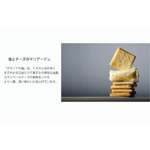 【東京ミルクチーズ工場】ソルト&カマンベールクッキー9枚入3箱セット