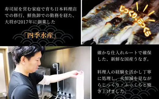 国産うなぎのかば焼き 1切（約250g）