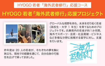【返礼品なし】兵庫県を応援！ふるさとひょうご寄附金 50,000円