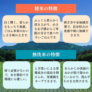 令和7年産 食味鑑定士厳選 新潟県上越柿崎区厳選 こしひかり 無洗米 20kg 3か月定期便 上越市 精米 米 コメ コシヒカリ ブランド米