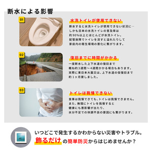 災害用トイレ アートトワレ 2個セット(ウミガメ・ライト) 非常用トイレ 防災グッズ