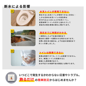 災害用トイレ アートトワレ 2個セット(サボテン・波) 非常用トイレ 防災グッズ
