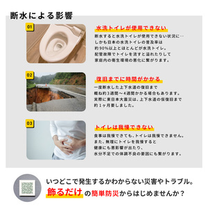 災害用トイレ アートトワレ 2個セット(グリーンテクスチャ・砂) 非常用トイレ 防災グッズ