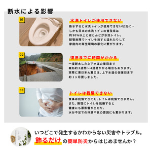 災害用トイレセット アートトワレ 30回 (非常用トイレや防災グッズ、防災トイレ)