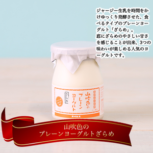 【山のいぶき】山吹色のジャージーヨーグルト 食べきり 乳脂肪分 5％以上 低温殺菌 素材の味 ジャージー牛乳 飲むヨーグルト プレーンヨーグルト ざらめ 各4本 計12本 ギフト 贈答 食べきりセット FOODEX JAPAN ご当地ヨーグルトグランプリ 金賞 熊本 阿蘇 小国郷