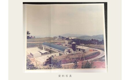 油絵で高級感のある風景画を細密に描きます（33×24cm）