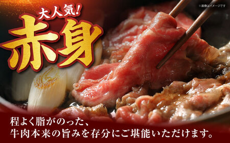 佐賀牛 赤身 （しゃぶしゃぶ・すき焼き用） 500g[HDH010]