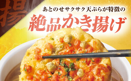 【全6回定期便】日清のどん兵衛　天ぷらそば（西日本向け/1ケース12食入）/ カップ麺 カップそば そば インスタント / 栗東市 / 日清食品株式会社[BIBI019]