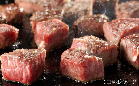 佐賀牛 サイコロステーキ 500g（250g×2P） / 佐賀県 / 織田精肉店 [41ADAB001]