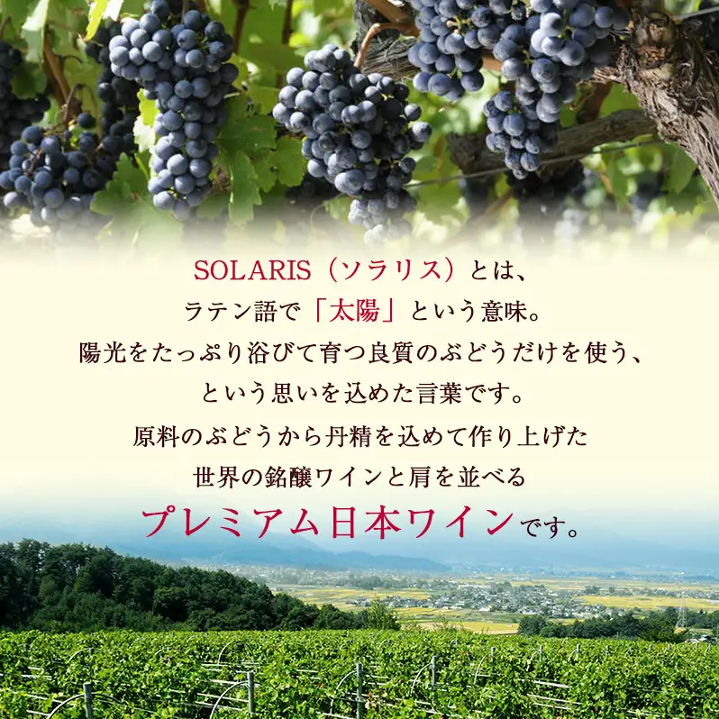 父の日 ワイン 信州ワイン 赤 ソラリス 千曲川 カベルネ・ソーヴィニヨン  ワインセット 750ml×6本 赤ワイン お酒 ぶどう酒 タンニン 完熟した香り 果実味 スパイシー 晩酌 おうちディナー 飲み物 家飲み 宅飲み