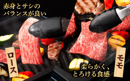 くまもと黒毛和牛 藤彩牛 焼肉用3種セット 計約900g  焼肉 BHAD124