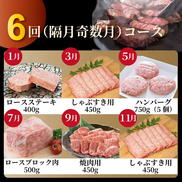 【定期便】佐賀牛 6回お肉の定期便 (隔月・奇数月お届け)  肉本舗小城 Q132-002