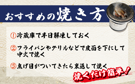 干物 ふぐ入り 干物 セット 4パック