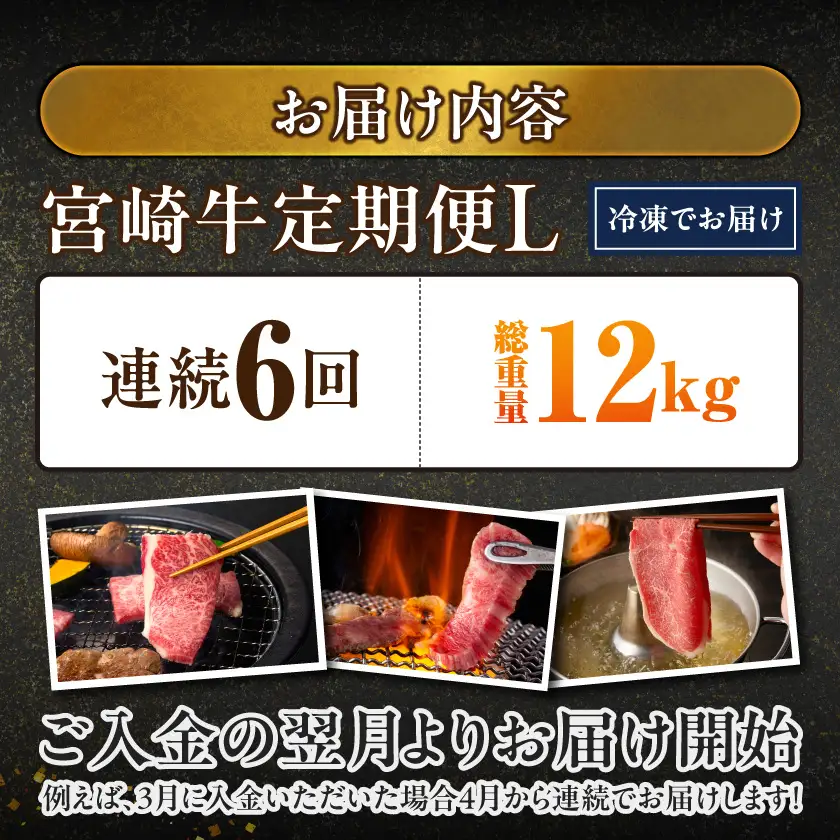 ≪6回連続お届け≫宮崎牛赤身霜降り食べ比べ定期便L(総重量12kg)〔T192-6-N201〕_(都城市) 宮崎牛 スライス 焼肉 2種セット 肩ロース又はロース ウデ又はモモ