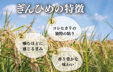 米 三重県産 コシヒカリ ぎんひめ 5kg×2袋（計10kg） 