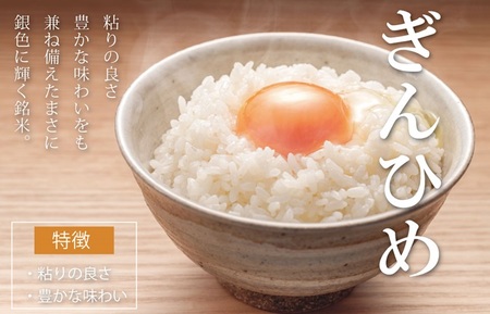 米 三重県産 コシヒカリ ぎんひめ  5kg×1袋