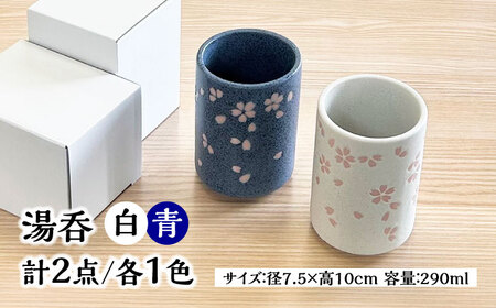 【美濃焼】 寿司湯呑 桜柄 2点 白 青 瑞浪市 / 山喜製陶 湯呑み ゆのみ 陶磁器 みずなみ焼[AZCP099]