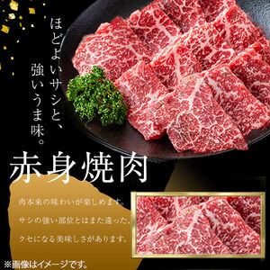 ＜A4・A5等級＞鹿児島県産黒毛和牛 うしの中山 赤身焼肉用200g 黒毛和牛 和牛 肉 牛肉 国産 九州産 鹿児島県産 焼肉 赤身 日本一 a1-144