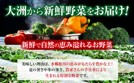 野菜 定期便 【全6回】（6-7種）少量 野菜定期便[AGBX045]