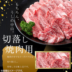 ＜A4・A5等級＞鹿児島県産黒毛和牛 うしの中山 切り落とし焼肉用 計1kg(500g×2P) 黒毛和牛 和牛 肉 牛肉 国産 九州産 鹿児島県産 焼肉 日本一 c4-015