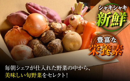 【全12回定期便】根菜×葉野菜 （6-7種）少量食べきりセット　 野菜 果物 やさい 少量セット[AGBX054]