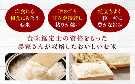お米（5kg）×カレー（6袋）セット お米 5kg[AGBX059]