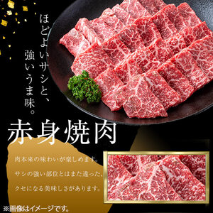 ＜A4・A5等級＞鹿児島県産黒毛和牛 うしの中山 赤身焼肉用 計1kg(500g×2P) 黒毛和牛 和牛 肉 牛肉 国産 九州産 鹿児島県産 焼肉 赤身 日本一 c8-034