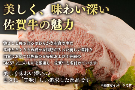 艶さし!【A4～A5】佐賀牛サーロインステーキ 300g(150g×2枚)(H112271)