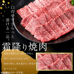 ＜A4・A5等級＞鹿児島県産黒毛和牛 うしの中山 霜降り焼肉用 計1kg(500g×2P) 黒毛和牛 和牛 肉 牛肉 国産 九州産 鹿児島県産 焼肉 霜降り 日本一 c9-005