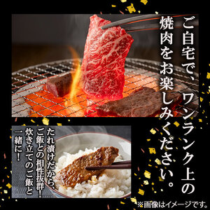 【数量限定】鹿児島県産黒毛和牛 うしの中山 タレ漬け焼肉用 500g 黒毛和牛 和牛 肉 牛肉 国産 九州産 鹿児島県産 焼肉 BBQ 味付け肉 たれ漬け 日本一 a8-085