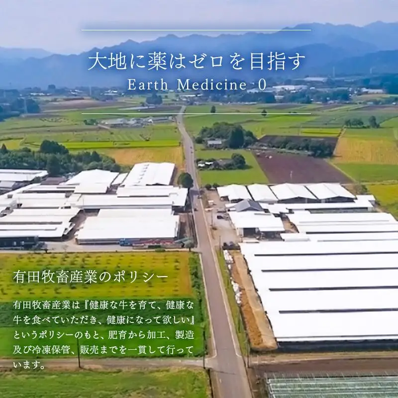 【翌月発送】宮崎有田牧場 黒毛和牛高級部位 シャトーブリアン・ヒレステーキ5枚 牛肉 ステーキ＜14-1a＞