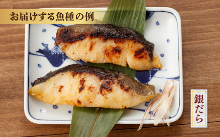 西京漬け8切セット（銀だら×2切・他おまかせ3種×各2切） / たら タラ 鱈 魚 海鮮 漬け おまかせ セット 冷凍 【株式会社サンマリン】[ATHA010]