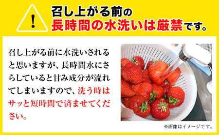 【ふるなびWEEK対象】福岡の名産いちご あまおう 1080g