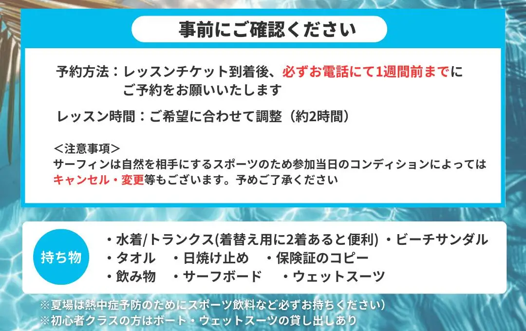 LS002-2 サーフィンスクール プライベートレッスン【L'ami Surfing School Official】