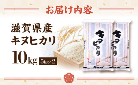 【スピード発送】キヌヒカリ 10kg 白米 [AQDH004] きぬひかり 白米