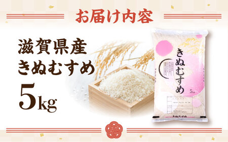 【スピード発送】きぬむすめ 5kg 白米 [AQDH005] きぬむすめ 白米