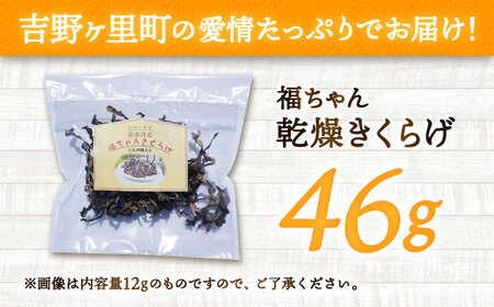 吉野ヶ里産きくらげ 46g 乾燥きくらげ[FDS002]
