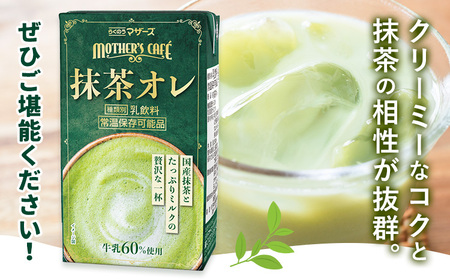 【6ヶ月定期便】250ml×24本／月×6回（計144本） 抹茶・オ・レ 合同会社たべたせいか《お申し込みの翌月から出荷》 抹茶オーレ 抹茶オレ 抹茶ミルク 抹茶 抹茶 乳製品 乳飲料 クロレラ 飲み物 飲料 常温保存 お取り寄せ 国産抹茶 熊本県産 菊池市 送料無料