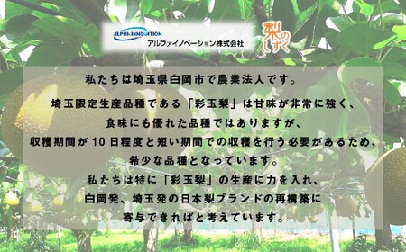 彩玉梨のスイーツ3種セット パウンドケーキ1個 フィナンシェ3個 プチガトー3個　【11246-0310】