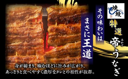 焼鰻めおと鰻セット：焼鰻特選メス妃うなぎ特大１尾と焼鰻特選オス帝うなぎ大1尾　計310g・Y100