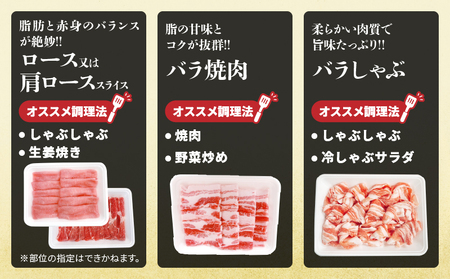 宮崎県産 豚肉 5種 セット (合計3.2kg) 国産 食品 豚バラ 切り落とし ロース スライス 焼肉 BBQ しゃぶしゃぶ 生姜焼き とんかつ ソテー 豚丼 野菜炒め 冷しゃぶ 個包装 小分け おすすめ おかず お弁当 晩ご飯 手軽 便利 ギフト 贈り物 冷凍 日南市 送料無料_CD73-25