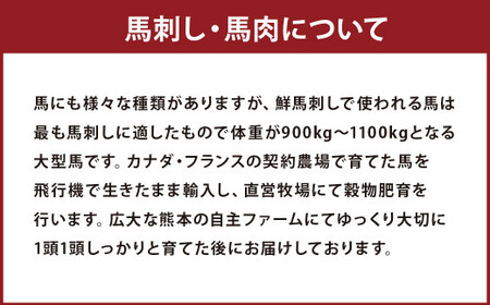 馬刺しユッケ・桜うまトロ 12食 セット 合計約660g 馬肉 馬刺し お肉 惣菜 ユッケ タレ付
