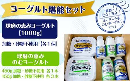 【6ヶ月定期便】球磨の恵みヨーグルト堪能セット