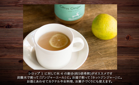【 小豆島 】小豆島ジンジャーシロップ3本セット 果実飲料 ジュース 