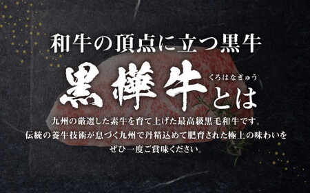 【3回定期便】 黒樺牛 サーロインステーキ 400g （200g×2） 計1200g 黒毛和牛 霜降り肉 ステーキ肉 冷凍